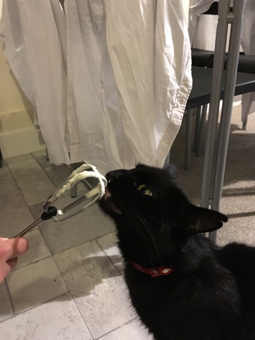 Olaf licking a whisk attachment